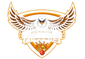 Deccan Falcons Logo