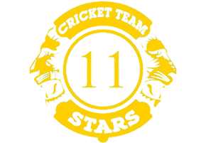Teams Participated- 11 Star Cricket Team Image